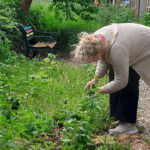 Proeftuinieren bij de Stadsfabriek