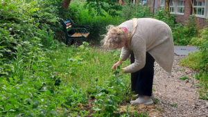 Proeftuinieren bij de Stadsfabriek