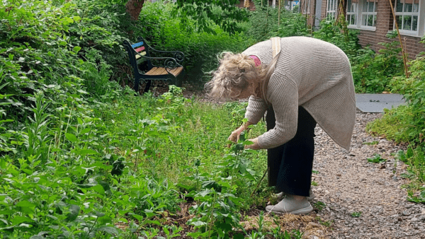 Proeftuinieren bij de Stadsfabriek