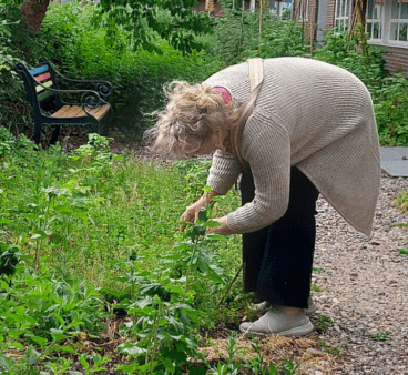 Proeftuinieren bij de Stadsfabriek