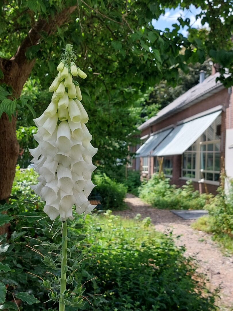 Proeftuin-3