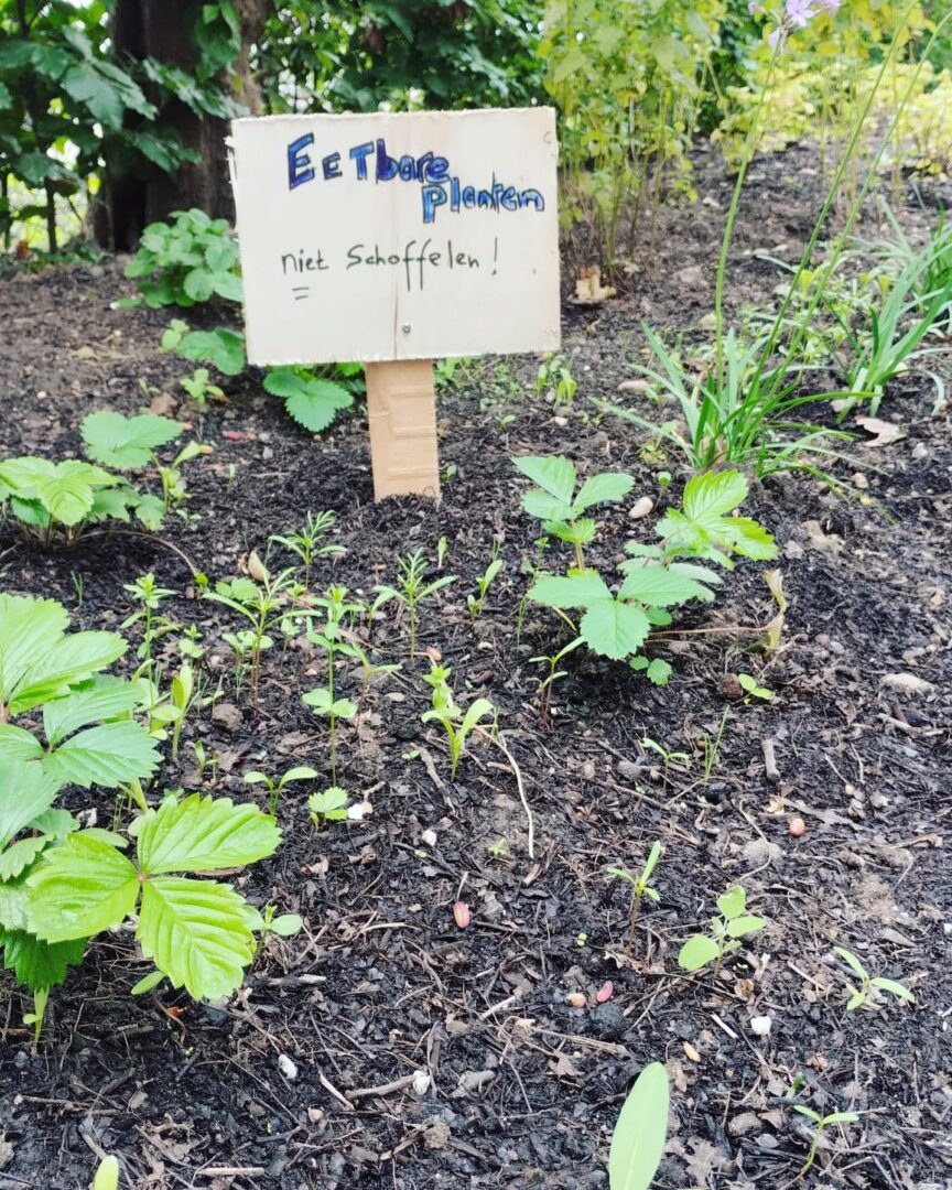 proeftuin-2