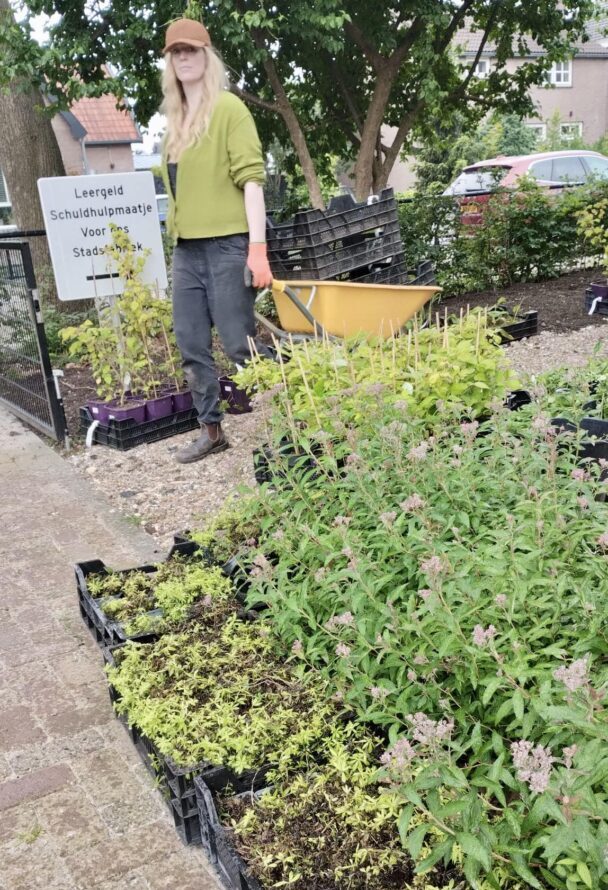 proeftuin 3